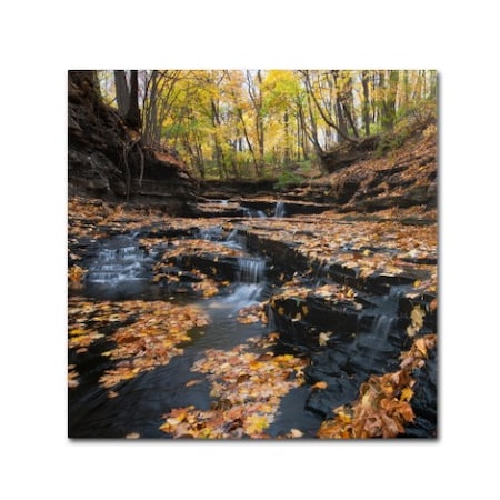 Kurt Shaffer 'Late Autumn Falls' Canvas Art,14x14